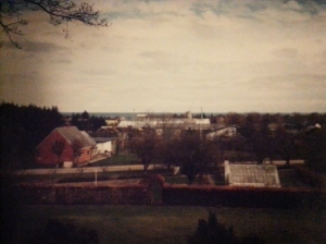 From the top of a little hill in Nellemanns Have. My uncle's pink cottage is seen at left, and the sea is in the distance.